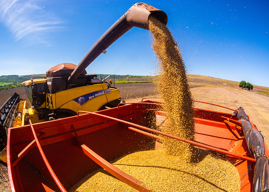 Colheita recorde de soja, milho e algodão já está consolidada, diz IBGE