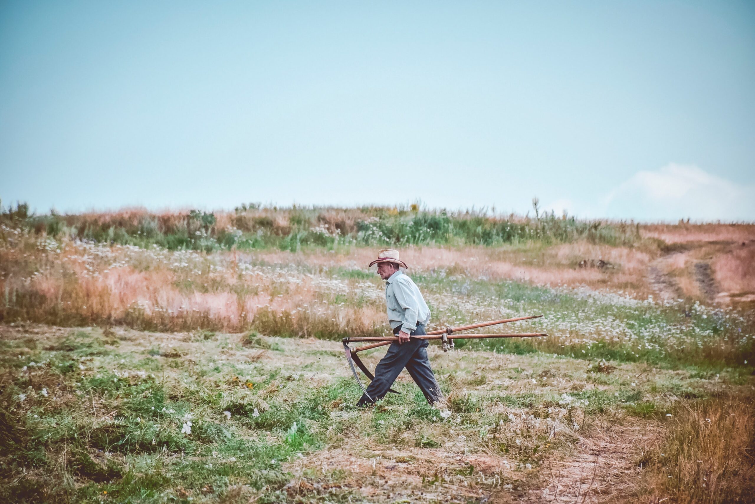 Como as mudanças climáticas estão afetando o agronegócio