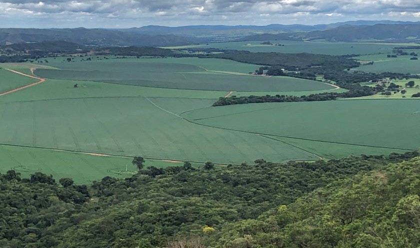 Imagens de satélite são eficazes para mapear áreas agrícolas