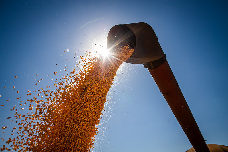 61% dos produtores não têm estruturas para guardar grãos