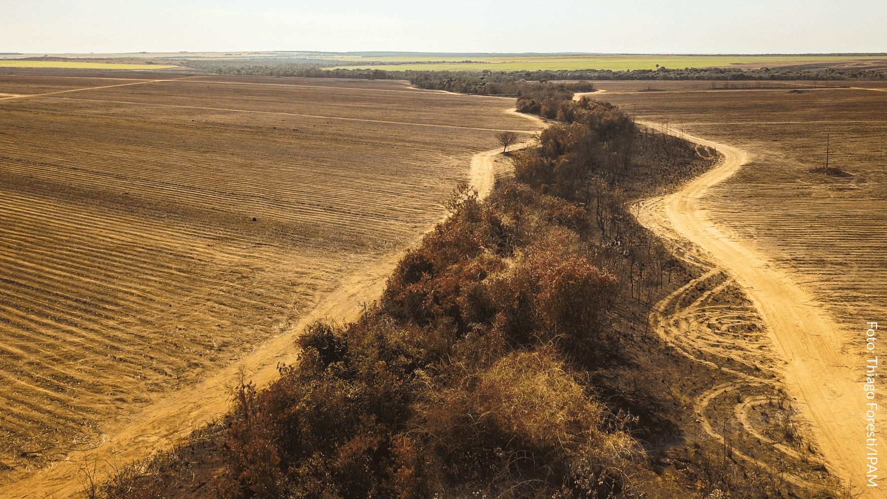 Desmatamento aumenta 86% no Cerrado em relação a 2022