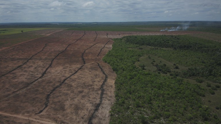 Ibama fiscaliza áreas desmatadas ilegalmente, no Tocantins (TO)