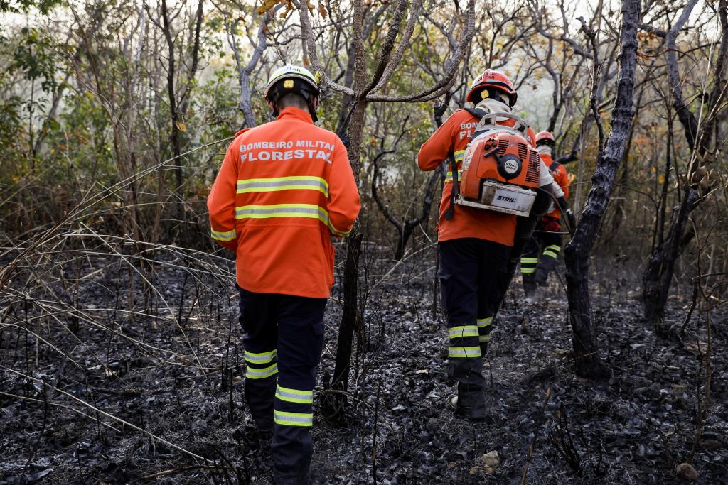 Mais de 18% do Parque Nacional do Pantanal consumido pelo fogo