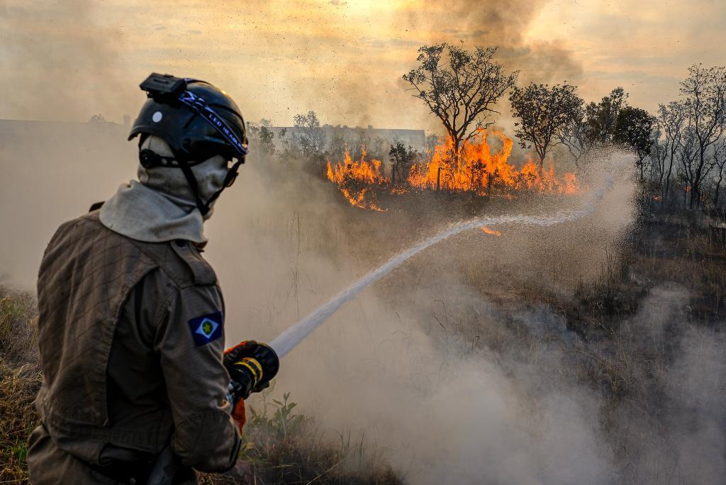 Calor intensifica queimadas no Pantanal e situação é de emergência