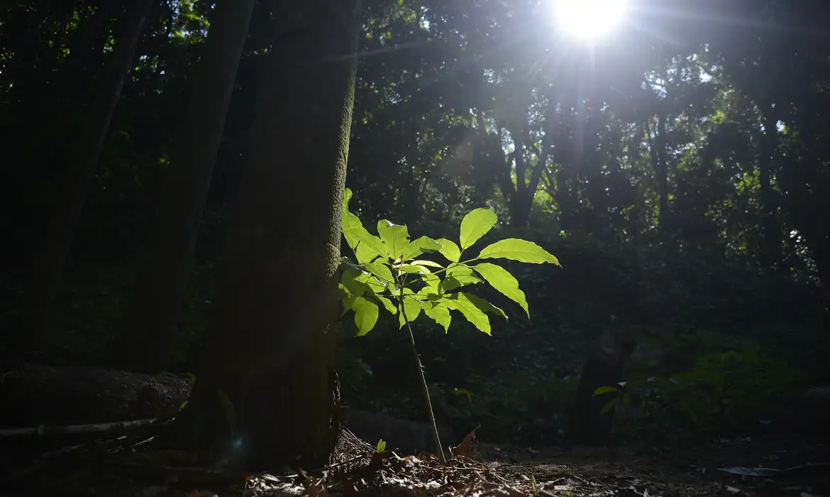 Brasil apresentará no exterior o Plano de Transformação Ecológica