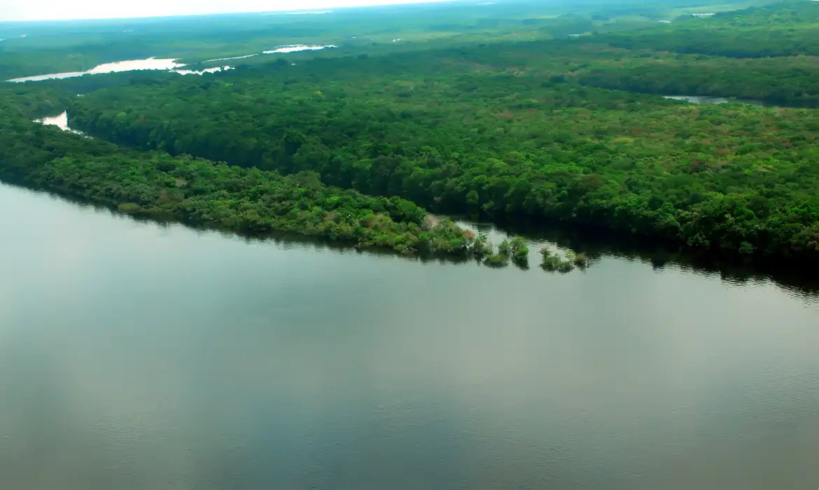 COP28 : BNDES investe R$ 75 mi em fundo para empresas da Amazônia