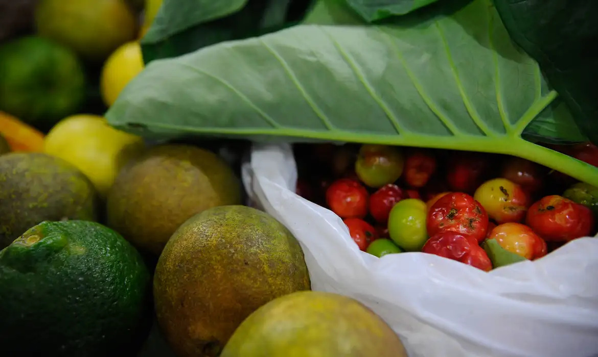 ONU propõe roteiro de combate à insegurança alimentar