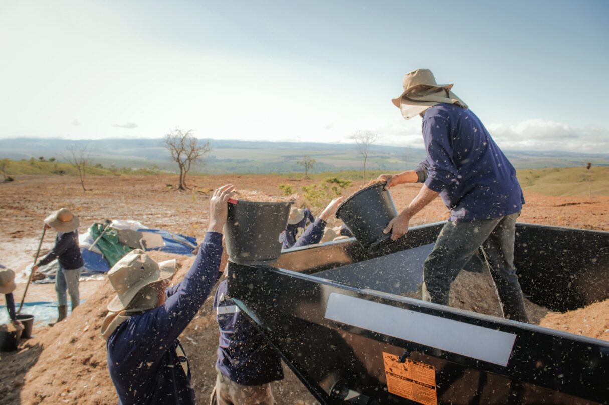 Raiz mobiliza países e investidores para restaurar terras