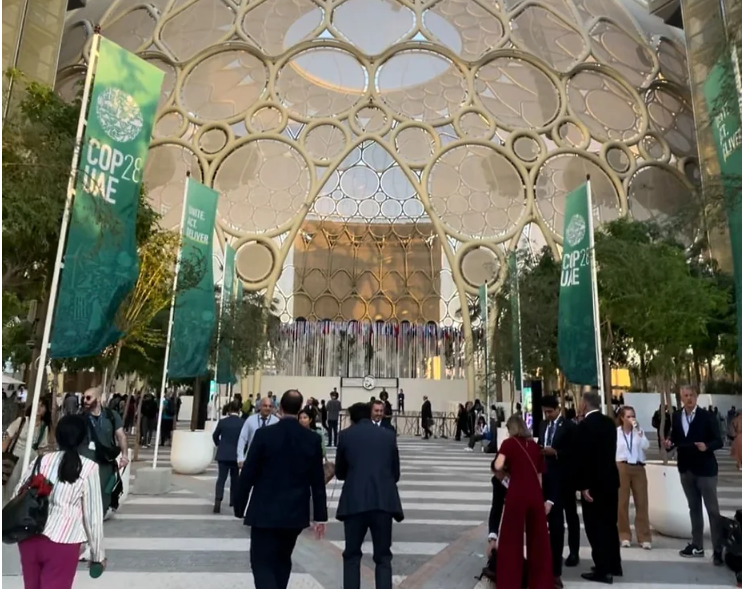 COP 28: Estados amazônicos lançam manifesto sobre mercado de carbono