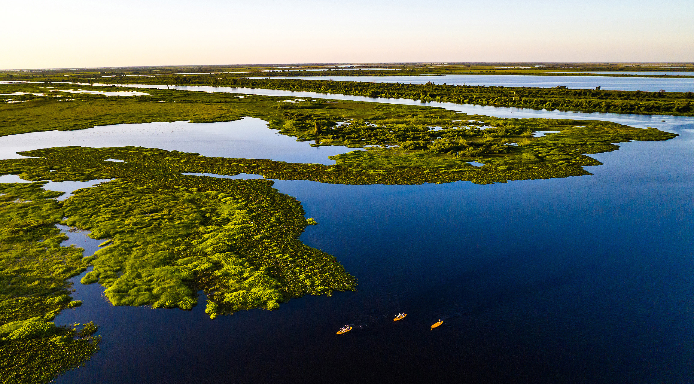 Lei do Pantanal é aprovada e vai à sanção do governo do MS