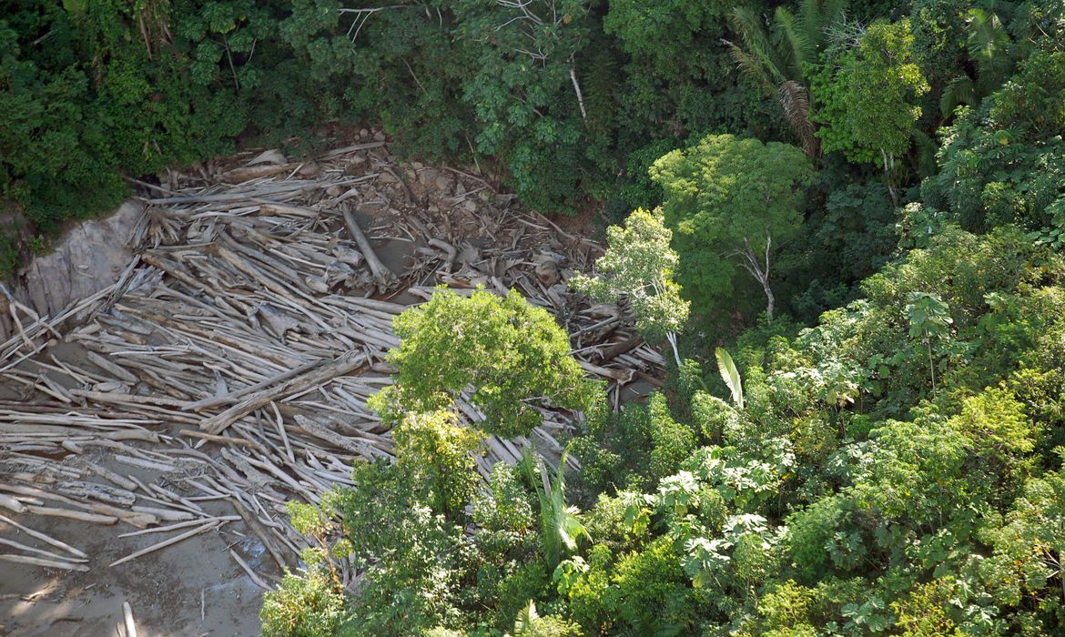 Desmatamento em áreas protegidas cai 4 vezes na Amazônia em 2023