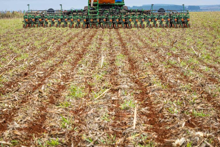 A depender do Estado, quebra vai de 8% a 25% na safra de soja 2023/24