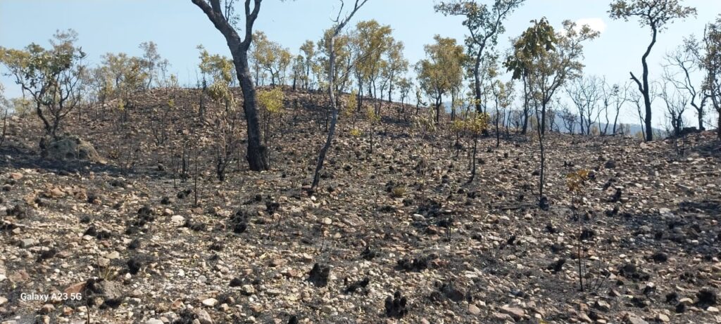 Incêndio de grandes proporções consome Serra do Amolar (MS)