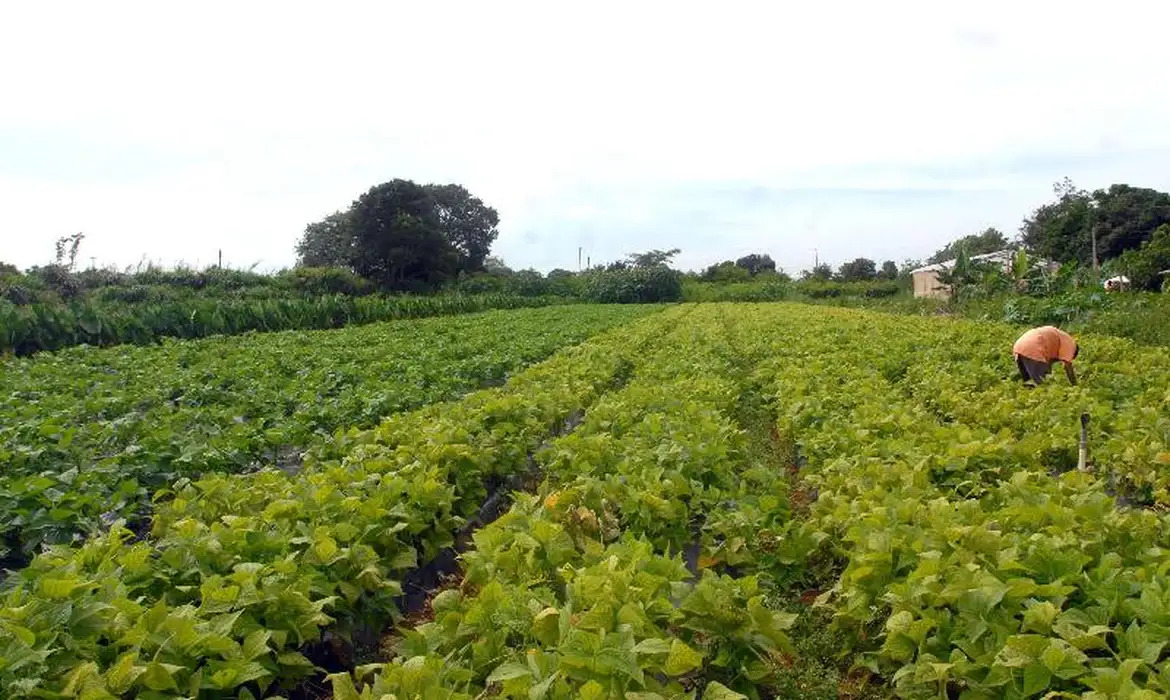 Força-Tarefa será criada para aprimorar Cadastro Ambiental Rural