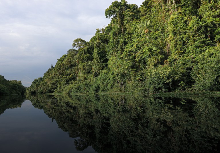 Fundo Clima terá até R$ 15 bi em parcerias com BID e Banco Mundial