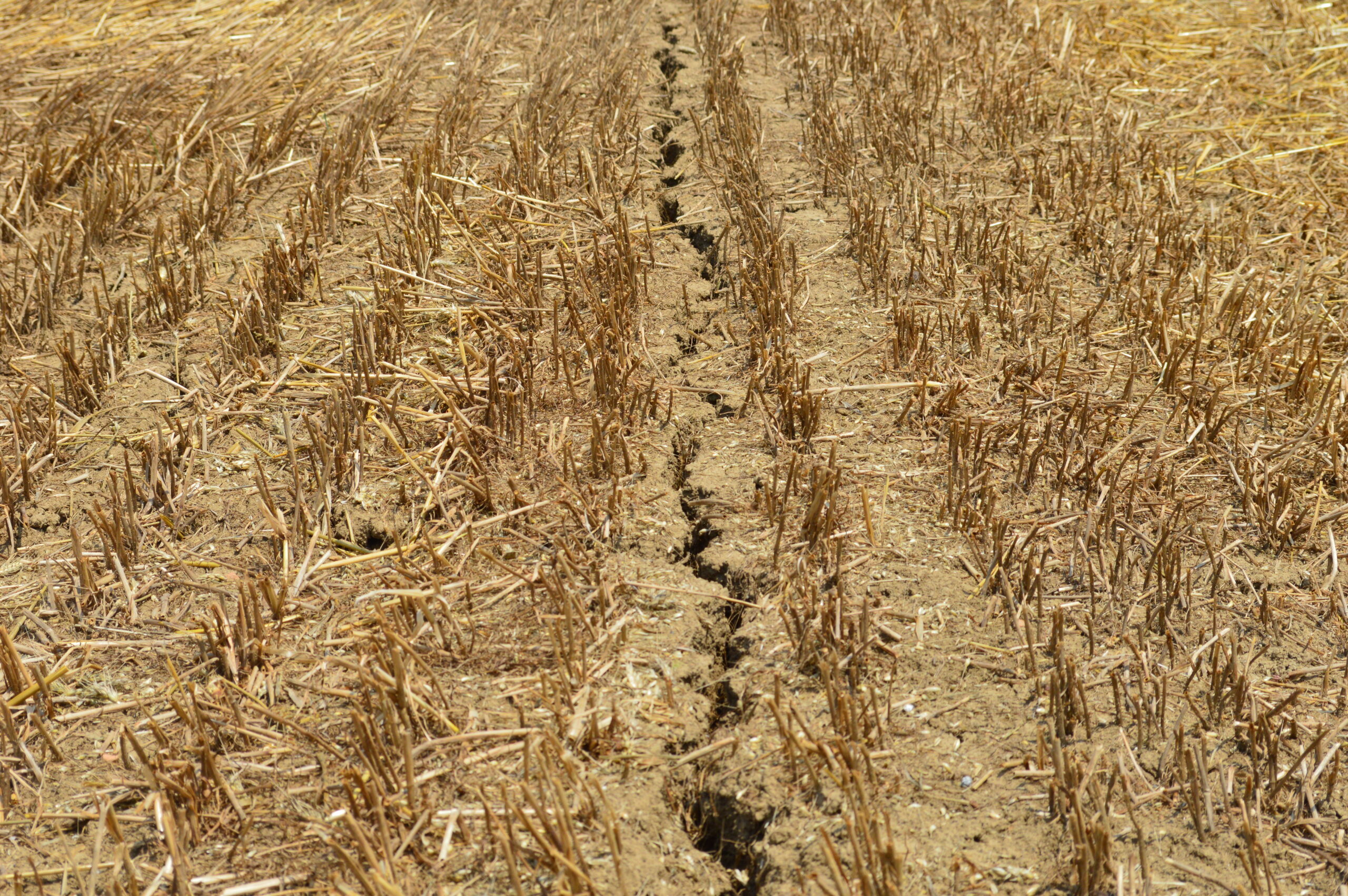 Crise climática impacta projeções do PIB brasileiro para 2024