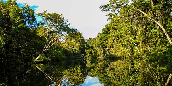 Japão promete doar 13 milhões para o Fundo Amazônia