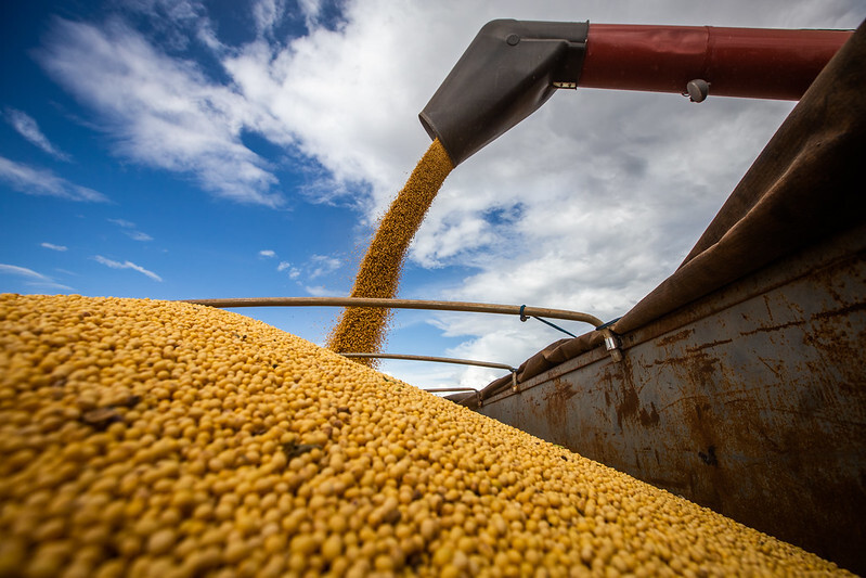 Agro bate recorde de exportações em janeiro com US$ 11,72 bi