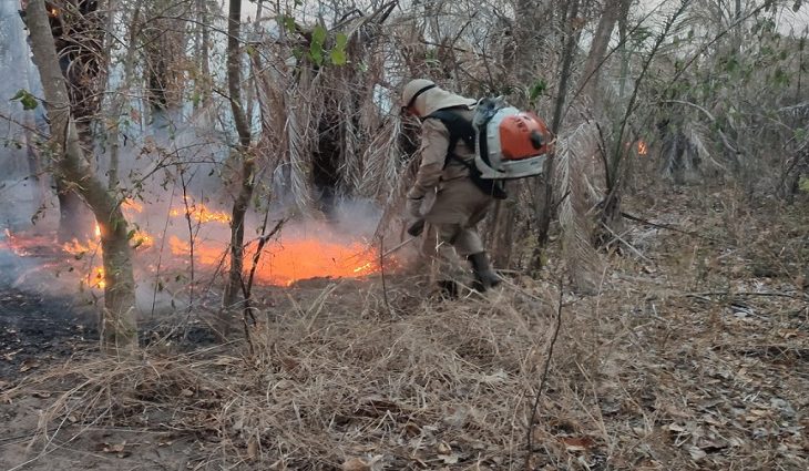 Governo declara estado de emergência por risco de incêndios