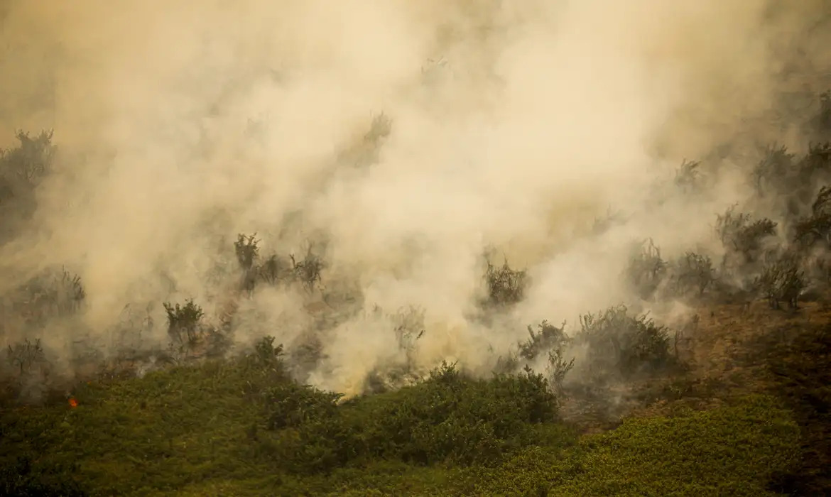 Mato Grosso lidera registros de queimadas no País em 2024