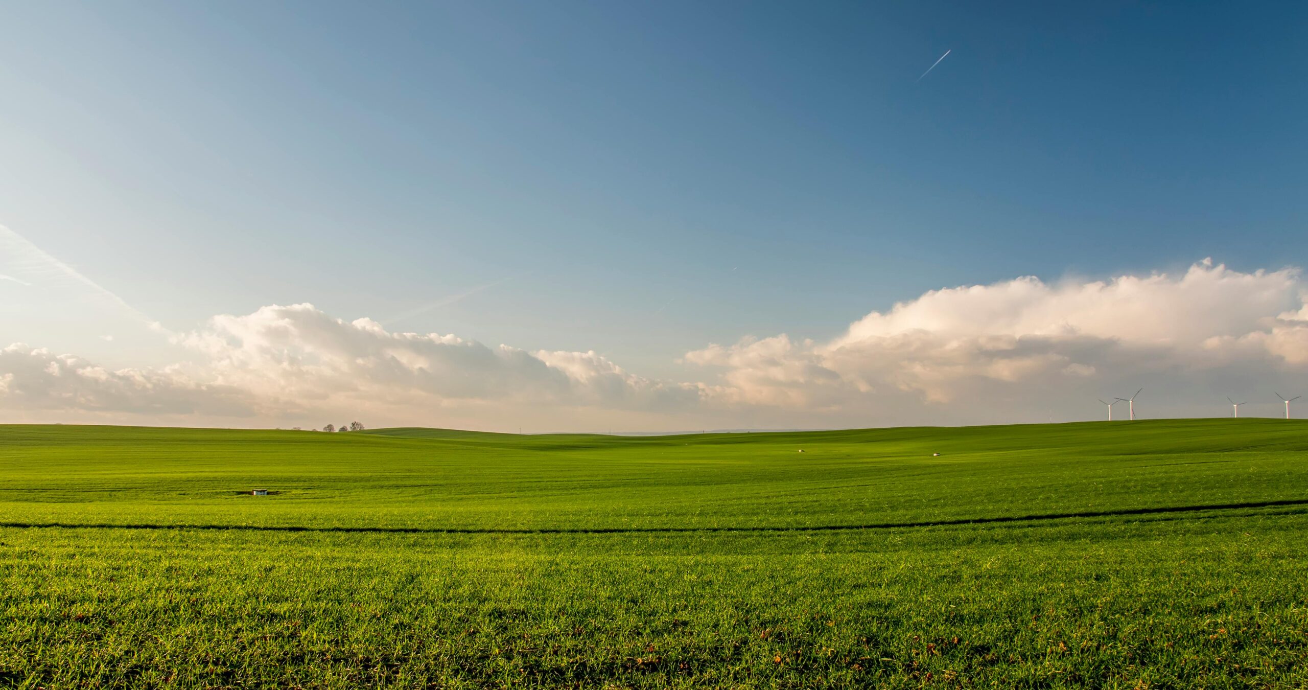 Fazendas recebem certificação ligada à agricultura regenerativa