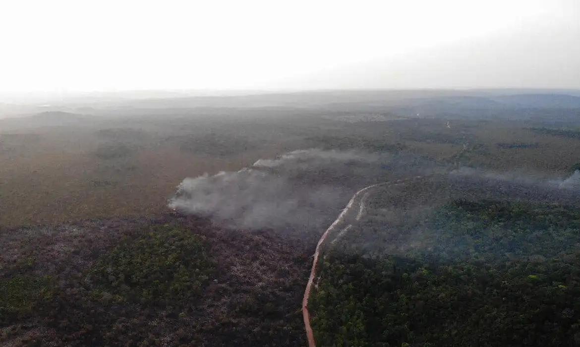 Amazônia responde por 91% da área queimada no Brasil em janeiro