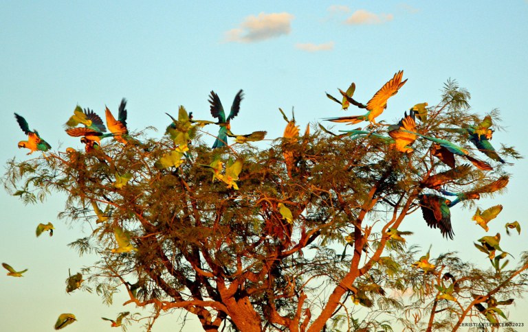 Parques nacionais são opção para quem se conectar com a natureza