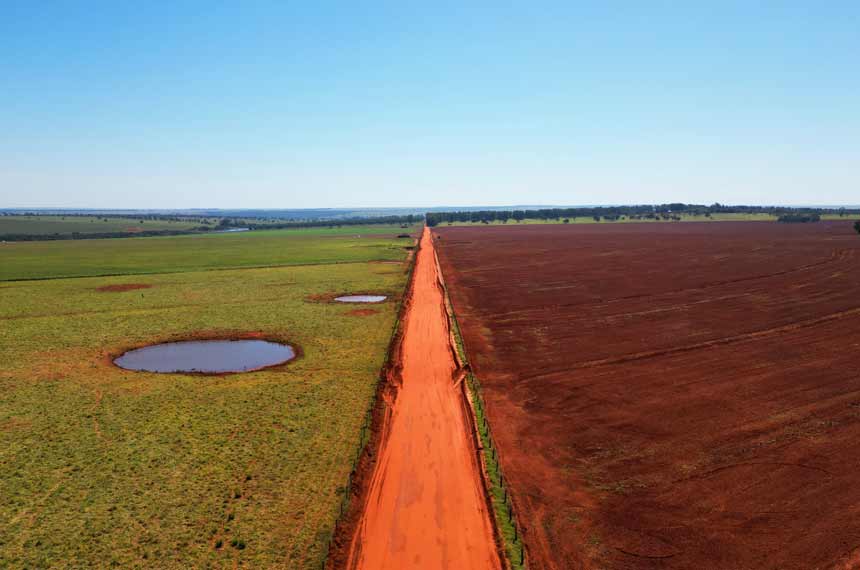 Floresta Viva terá R$ 100 milhões para restauração de biomas