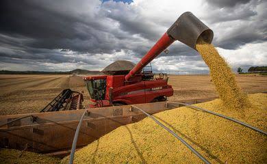 Avanço da colheita de soja confirma efeitos da crise climática