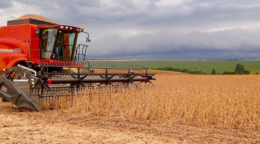 IBGE prevê redução de 4,7% ne safra de grãos em 2024