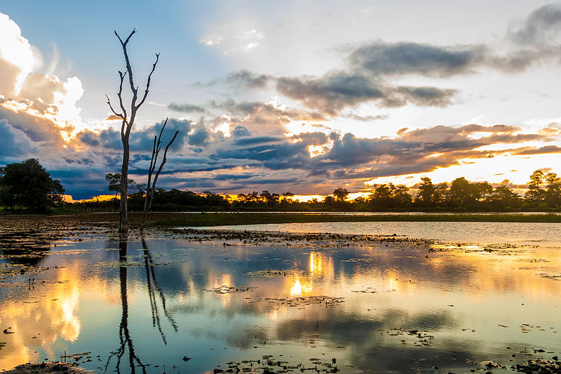 Pantanal contaminado por agrotóxico e ameaçado por seca