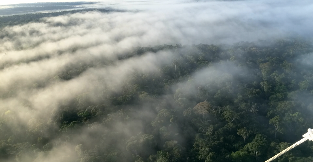 Sincronia entre Cerrado, Amazônia e Pantanal está sob ameaça da seca