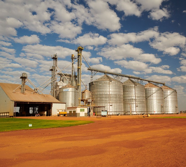 Agro regenerativo mitiga quebra da safra de soja na Fazenda Roncador