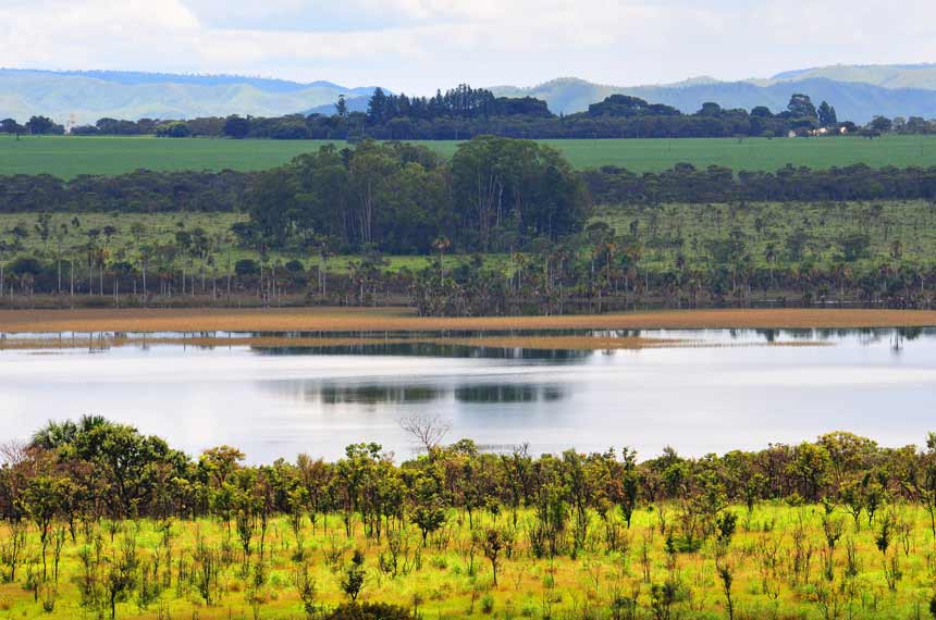 Compensação é estratégia de combate ao desmate legalizado no Cerrado