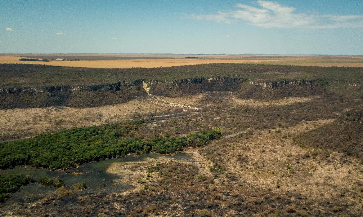 Governos criam força-tarefa contra desmatamento no Cerrado