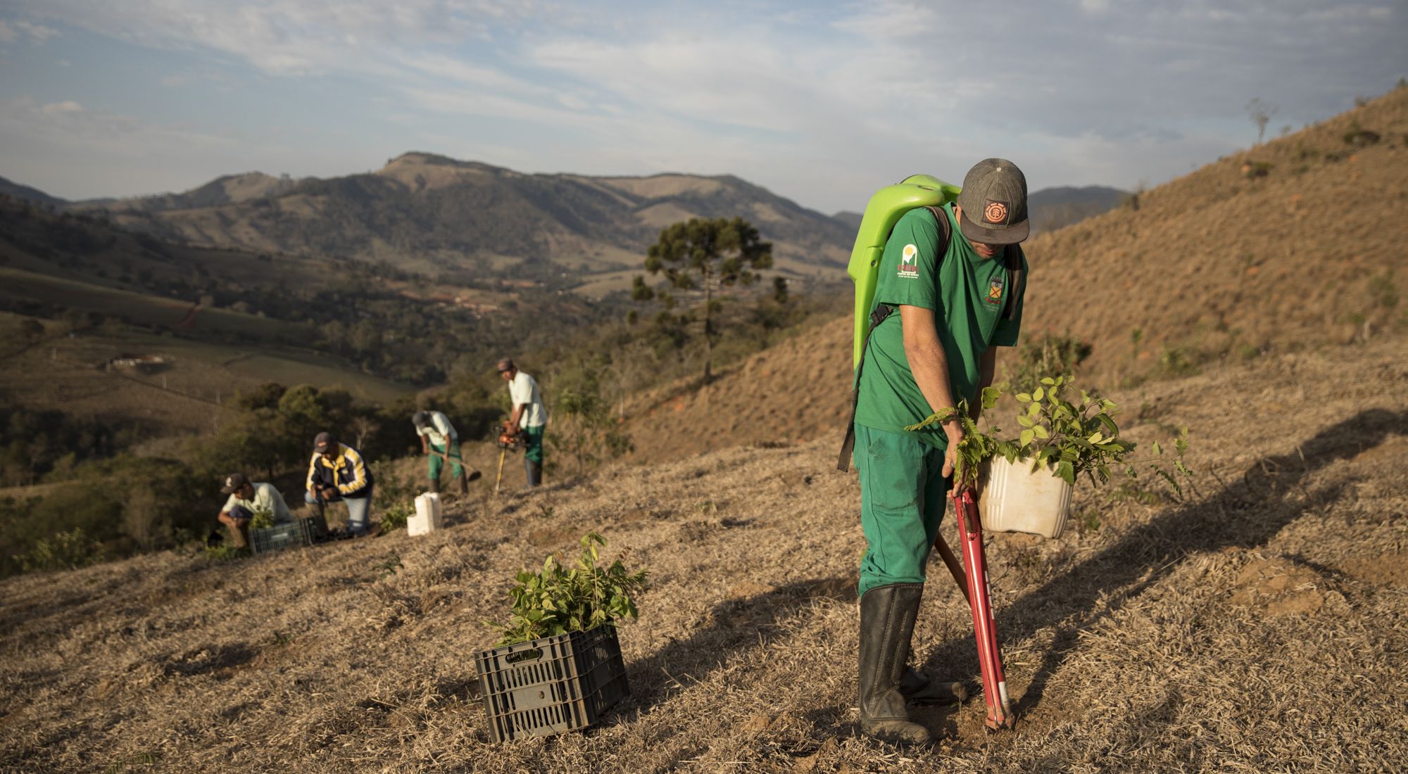 Produção sustentável recebeu cerca de R$ 1 bilhão no Cerrado