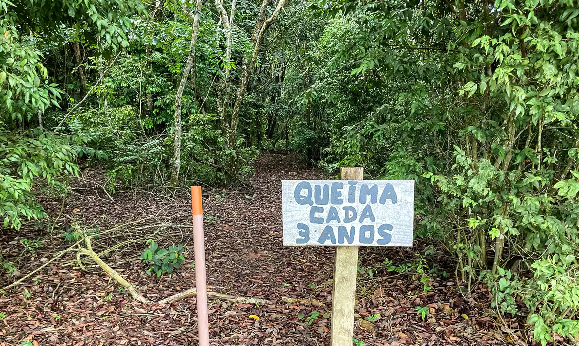 Laboratório a céu aberto permite pesquisas sobre queimadas