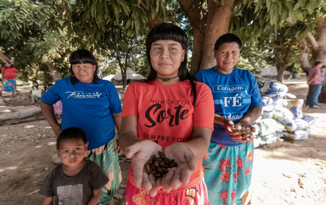 Mulheres xavantes coletam semente nativa para reflorestar Cerrado
