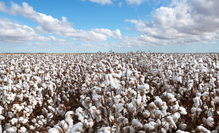 Exportações do agro no primeiro trimestre atingem US$ 37,44 bilhões