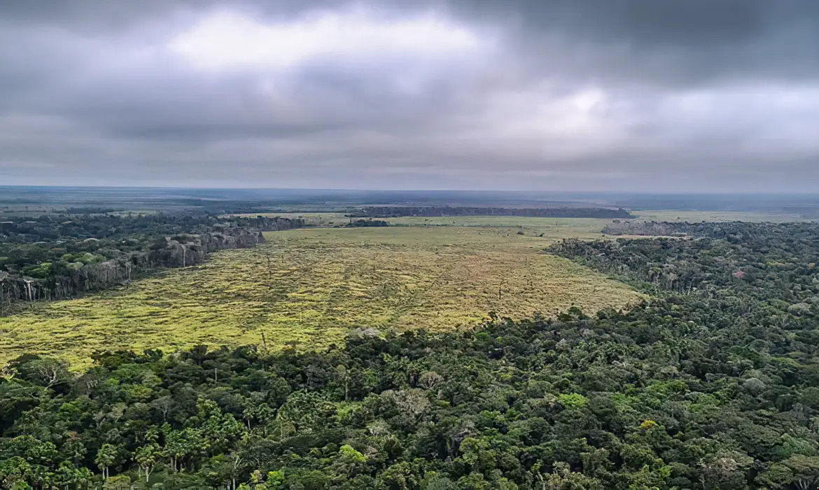 Programa contra o desmatamento na Amazônia é prorrogado