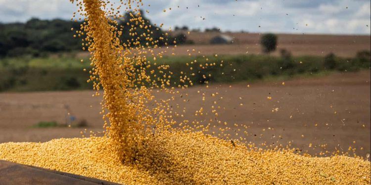 O futuro do agro e as mudanças do clima debatidos em evento