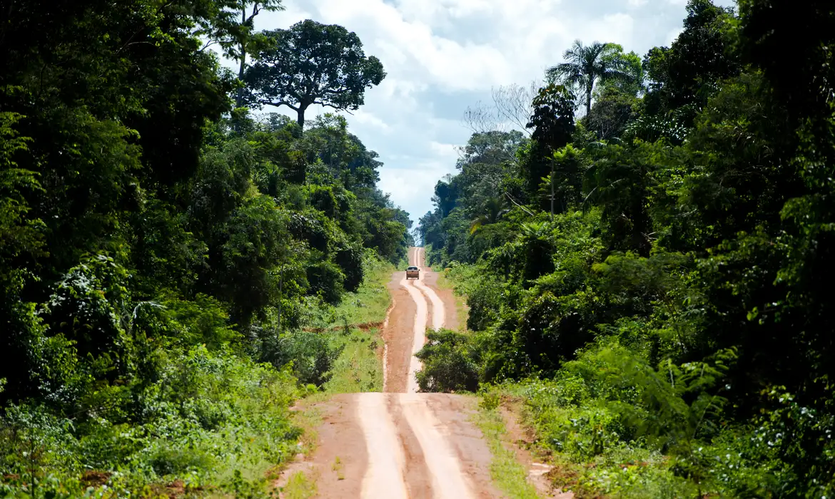 Degradação na Amazônia avança 3 vezes mais que desmatamento