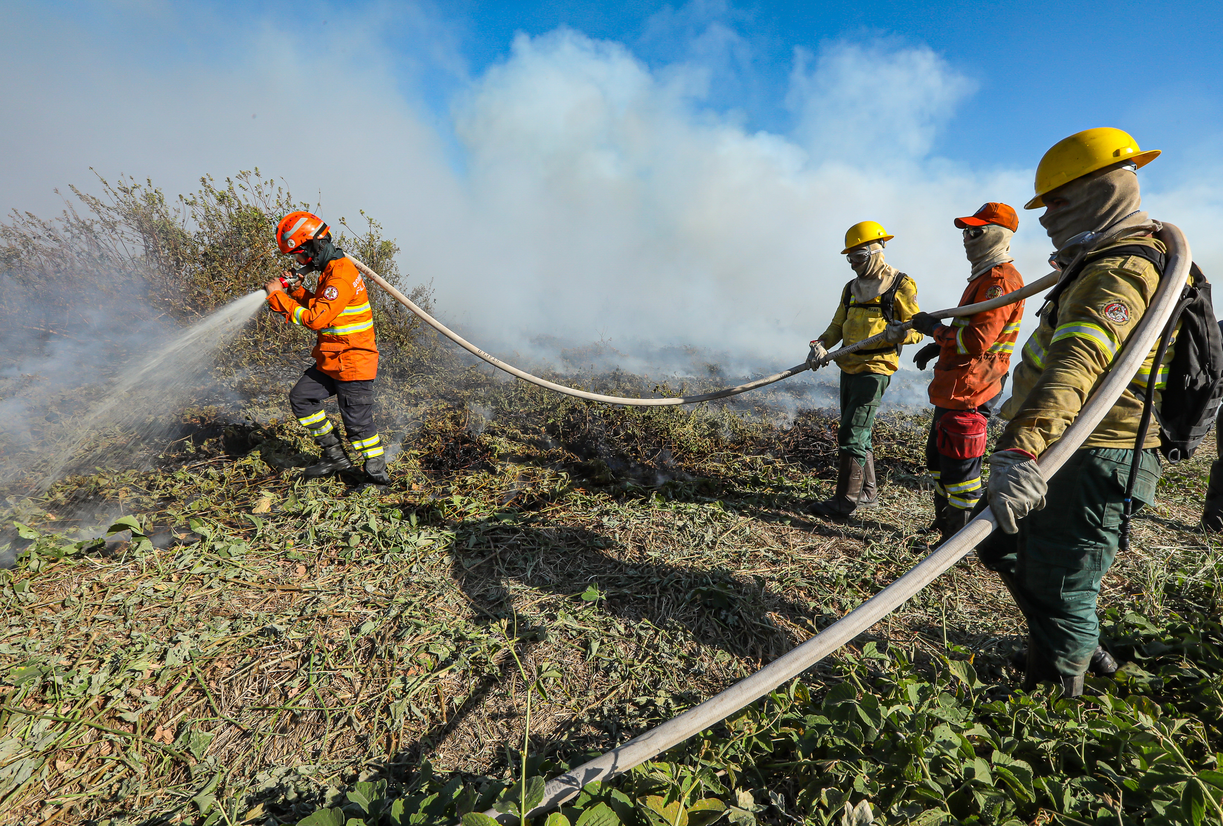 Uso do fogo no Cerrado e na Amazônia está proibido em MT