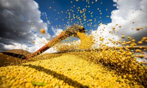 Segurança alimentar da China passa por Amazônia e Cerrado Segurança alimentar da China passa por Amazônia e Cerrado