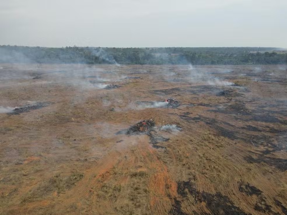 Fazendas de MT são multadas em R$ 24 mi  por crimes ambientais