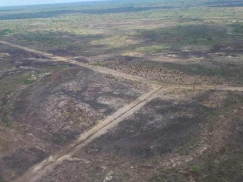MP investiga queima de 6,4 mil hectares no Pantanal
