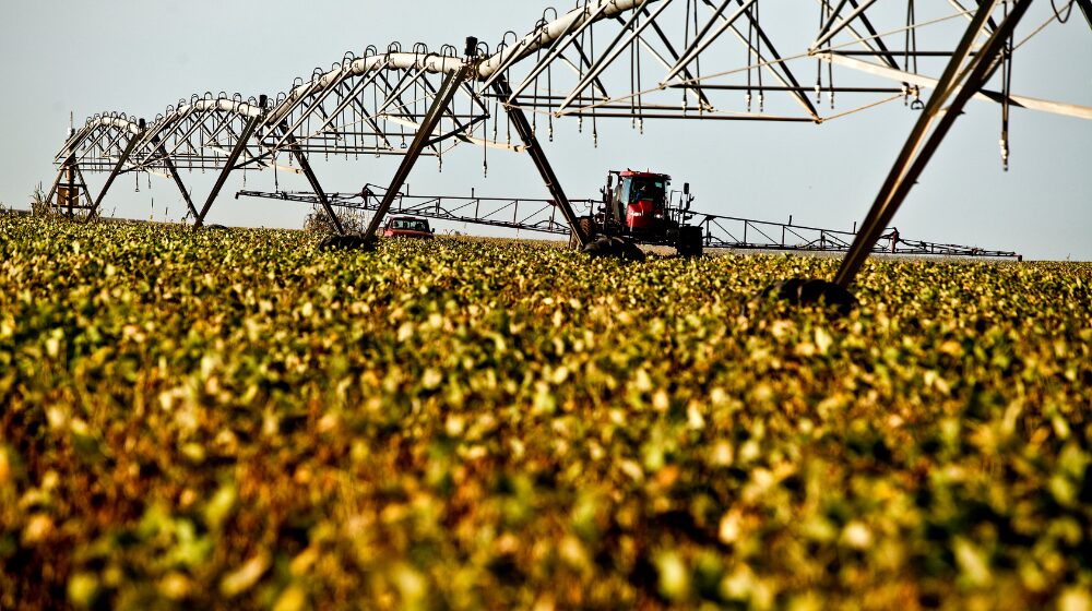 Produção de soja perde eficiência com uso cada vez maior de insumos