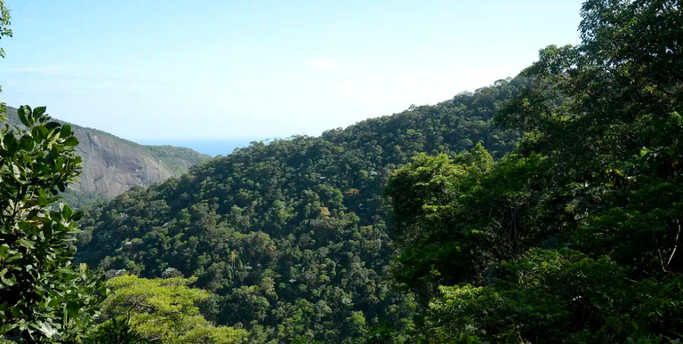Com diretrizes próprias, agro é peça-chave no Plano Clima