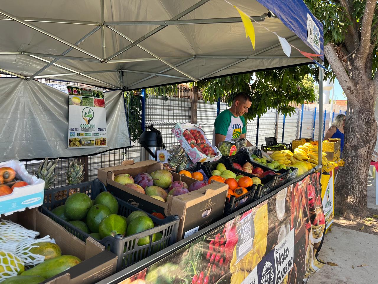 Feiras impulsionam renda da agricultura familiar em MT