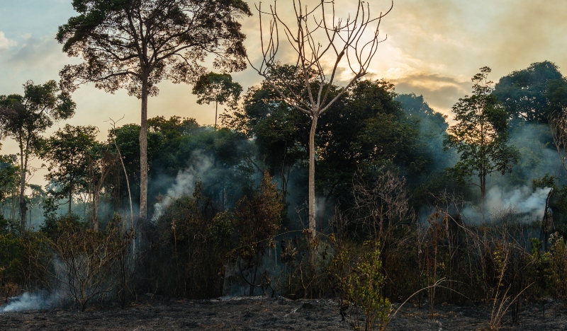 Degradação da Amazônia cresce 38% em MT e acende alerta ao agro